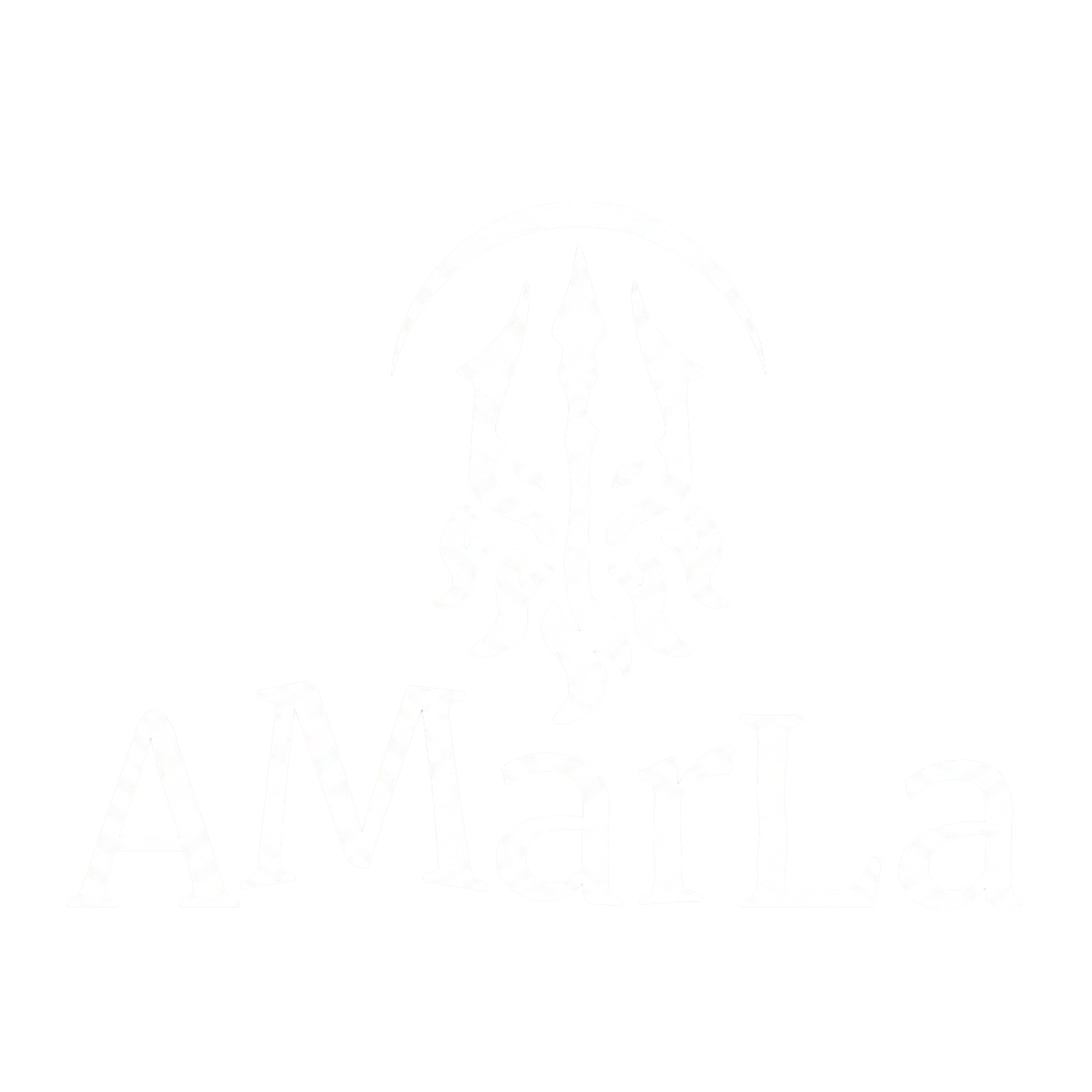 Patrocinador 5